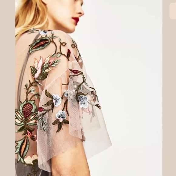 Zara Sheer Tulle Emroidered Blouse - Picture 1 of 14